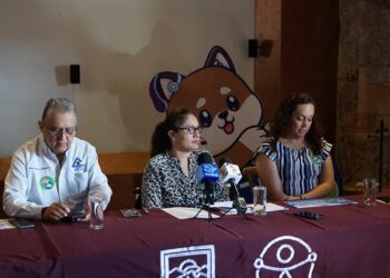 “Menos discapacidad más descuentos”, campaña para beneficiar a las personas con discapacidad